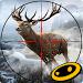 Deer Hunter